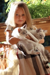 Дидашко Анастасия 