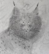 Здобнов Антон